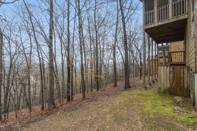 263 Willow Oak Lane, Branson, MO 65616