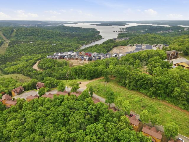 263 Willow Oak Lane, Branson, MO 65616