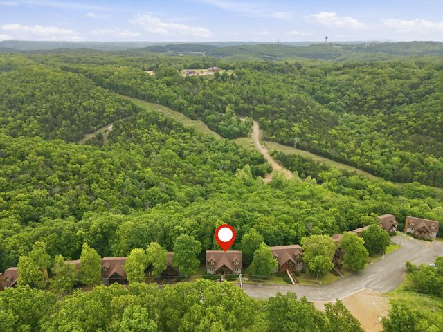 263 Willow Oak Lane, Branson, MO 65616