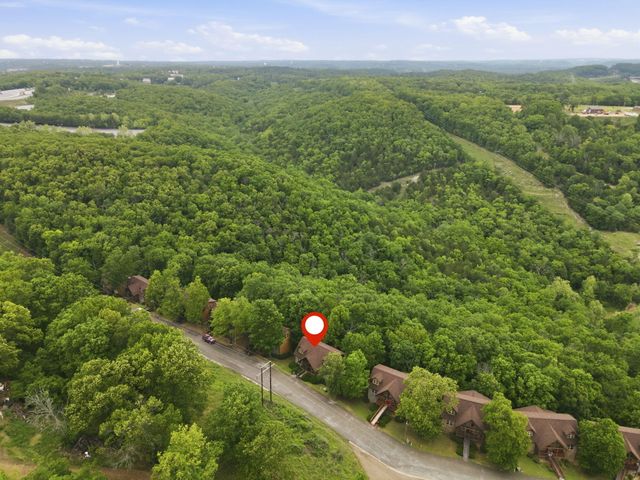 263 Willow Oak Lane, Branson, MO 65616