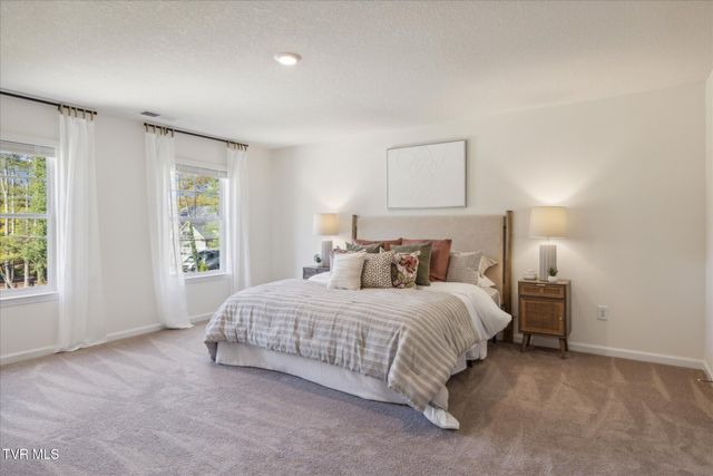 359 Alta Tree Blvd, Johnson City, TN 37604