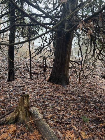 TBD Cedar Drive, Mount Pleasant, MI 48858