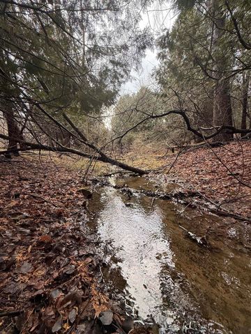 TBD Cedar Drive, Mount Pleasant, MI 48858