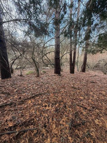 TBD Cedar Drive, Mount Pleasant, MI 48858