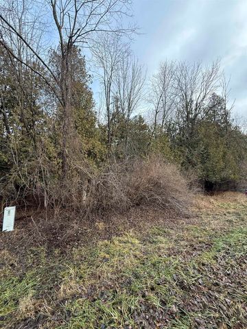 TBD Cedar Drive, Mount Pleasant, MI 48858