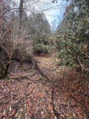 TBD Cedar Drive, Mount Pleasant, MI 48858