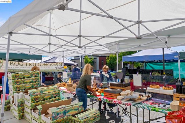 1325 Henry St, Berkeley, CA 94709