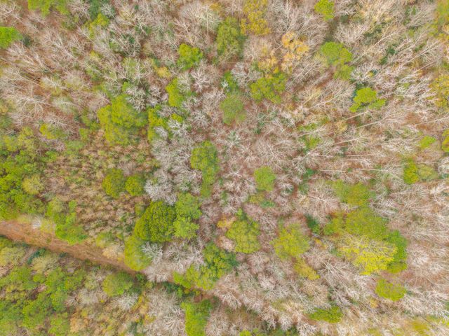 263 Haynesville Ext, Moncks Corner, SC 29461