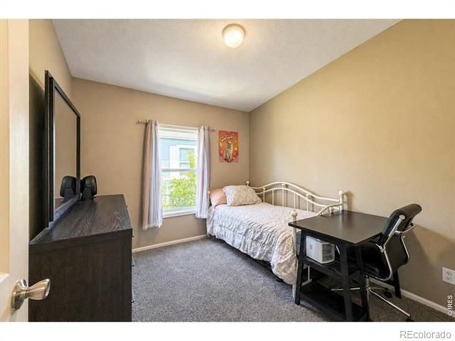 6105 Needlegrass Green, Frederick, CO 80530