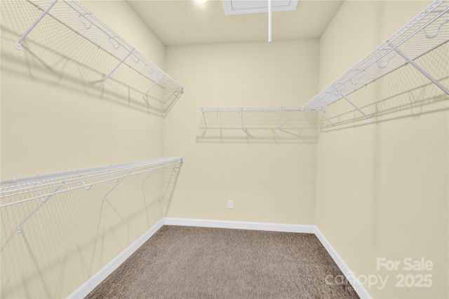 3005 Striped Maple Court, Charlotte, NC 28215