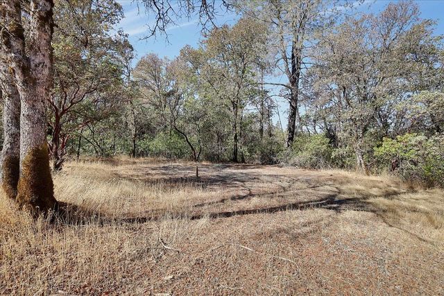 12371 Regent, Oregon House, CA 95962