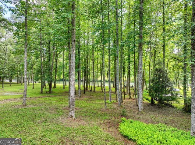 125 Blackberry Drive, Mineral Bluff, GA 30559