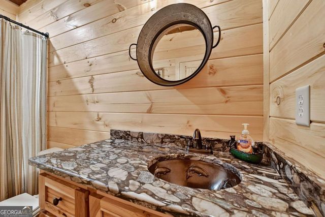 125 Blackberry Drive, Mineral Bluff, GA 30559