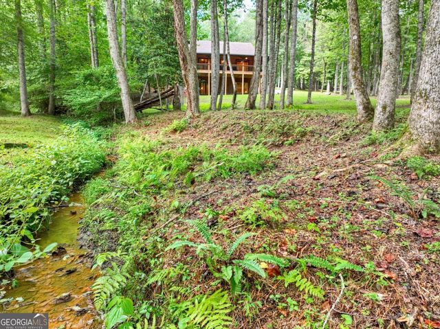 125 Blackberry Drive, Mineral Bluff, GA 30559