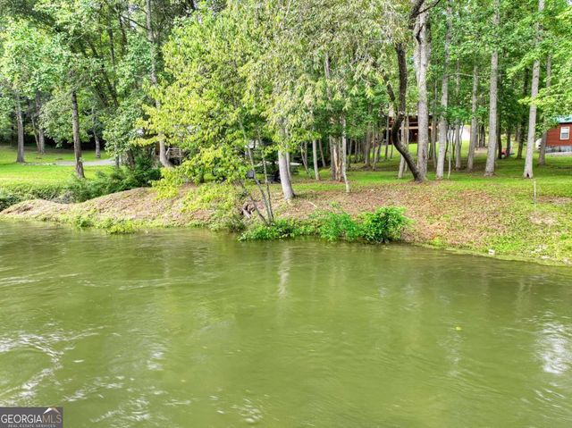 125 Blackberry Drive, Mineral Bluff, GA 30559