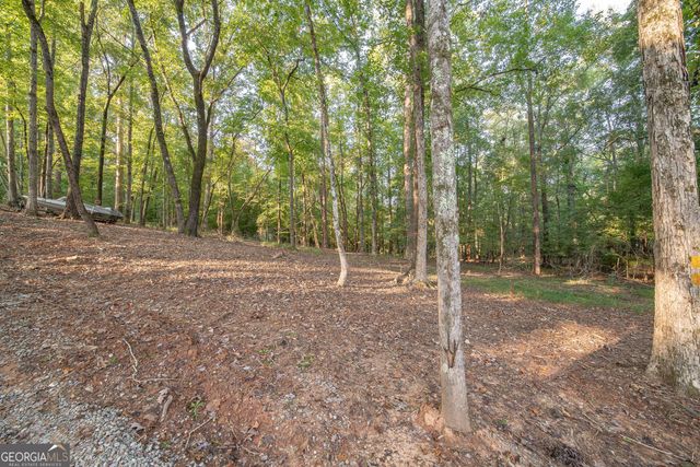 265 Dollar Road, Hamilton, GA 31811