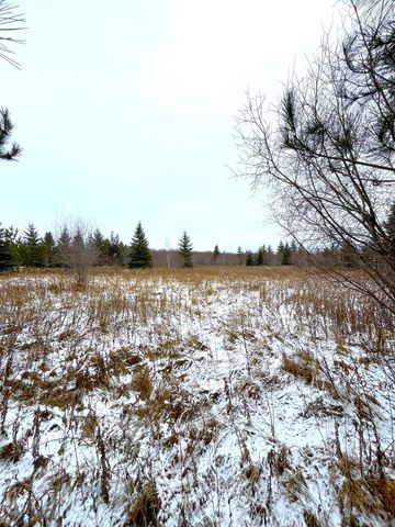Lot 4 - TBD 330th Street, Warroad, MN 56763