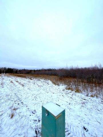 Lot 4 - TBD 330th Street, Warroad, MN 56763