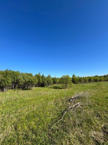 Lot 4 - TBD 330th Street, Warroad, MN 56763
