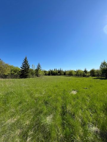 Lot 4 - TBD 330th Street, Warroad, MN 56763