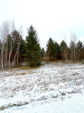 Lot 4 - TBD 330th Street, Warroad, MN 56763