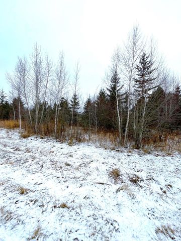 Lot 4 - TBD 330th Street, Warroad, MN 56763