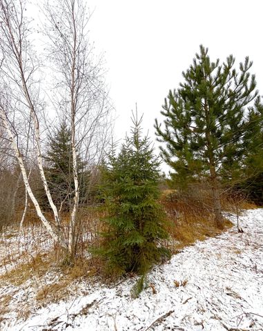 Lot 4 - TBD 330th Street, Warroad, MN 56763