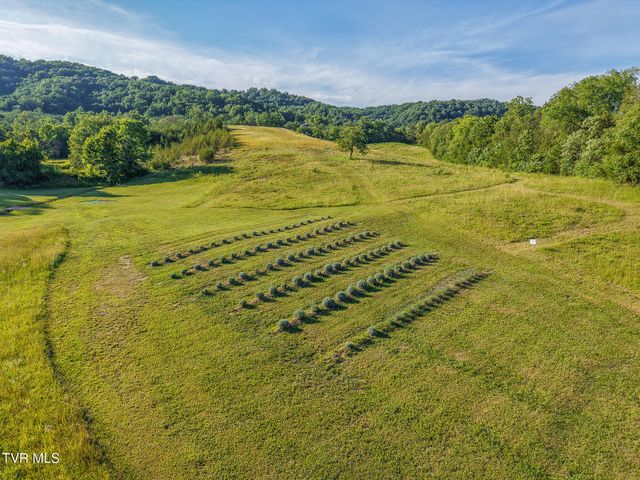 1871 Goodman Loop, Bulls Gap, TN 37711