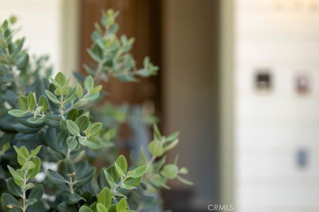 297 Tustin Field, Tustin, CA 92782