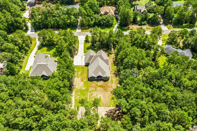 12956 Shady Woods Court, Montgomery, TX 77316