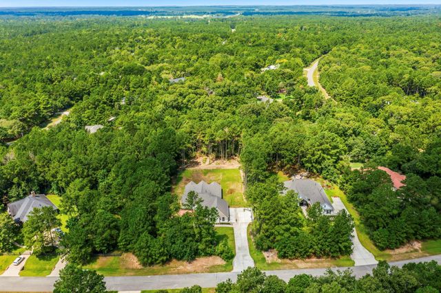 12956 Shady Woods Court, Montgomery, TX 77316