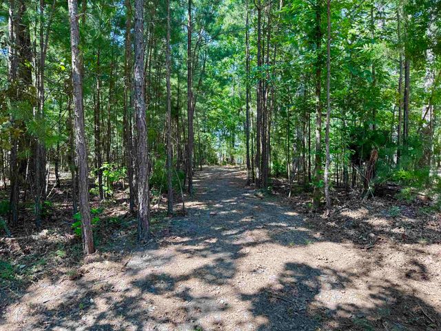 301 Watersedge Drive, Edgemont, AR 72044