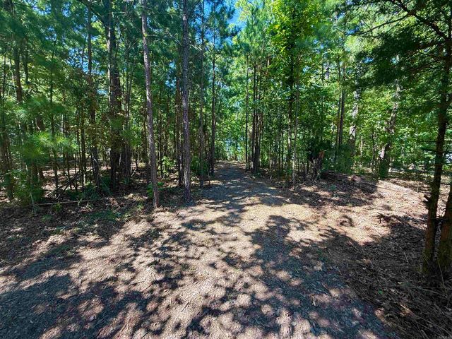 301 Watersedge Drive, Edgemont, AR 72044