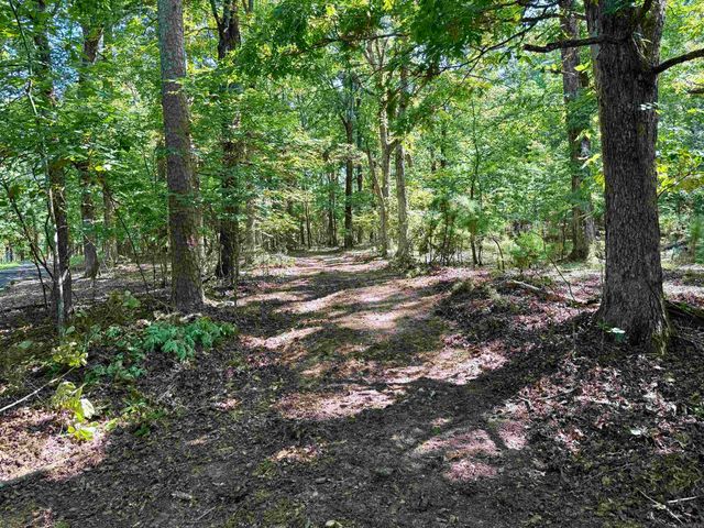 301 Watersedge Drive, Edgemont, AR 72044