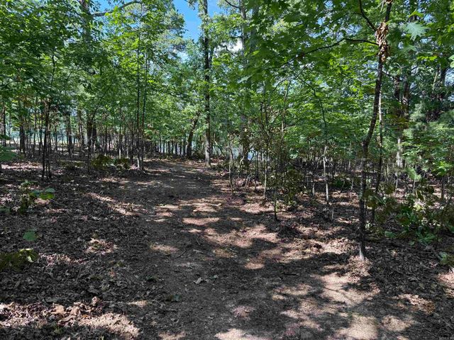 301 Watersedge Drive, Edgemont, AR 72044