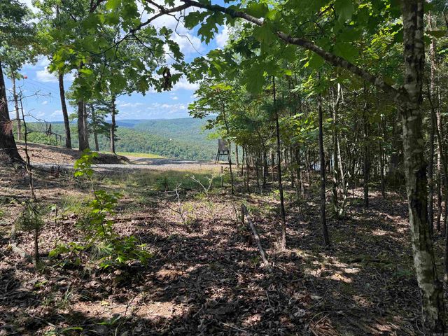 301 Watersedge Drive, Edgemont, AR 72044