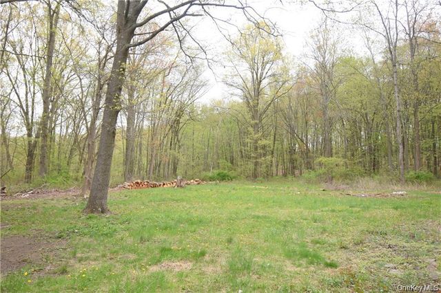 158 Sycamore Drive, New Windsor, NY 12553