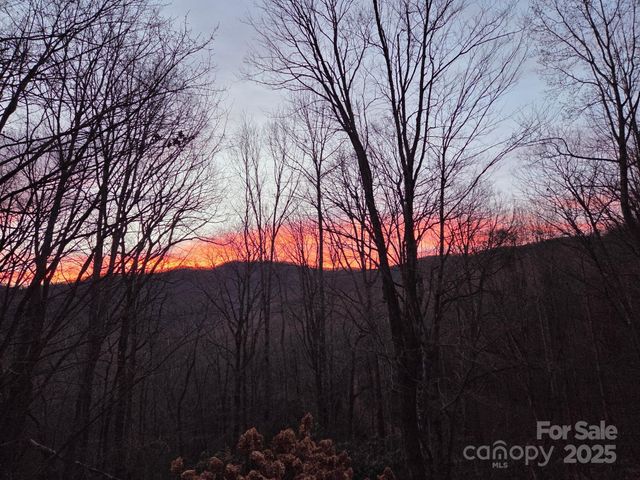 50 Firefly Springs Lane, Candler, NC 28715