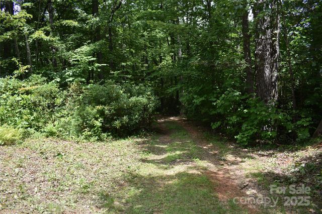 50 Firefly Springs Lane, Candler, NC 28715
