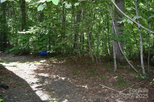 50 Firefly Springs Lane, Candler, NC 28715