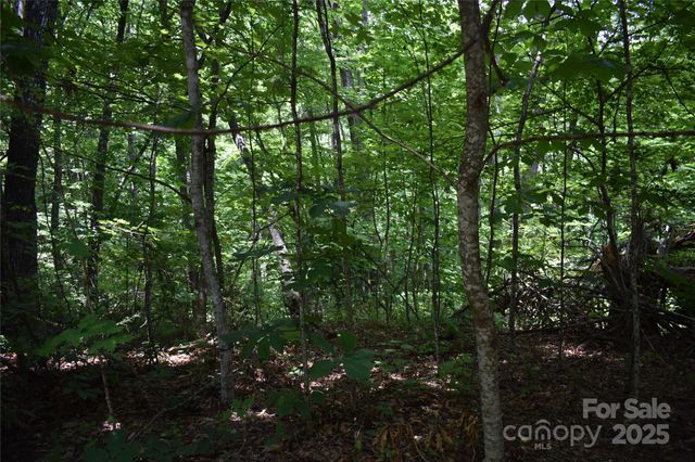 50 Firefly Springs Lane, Candler, NC 28715