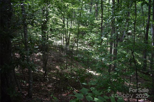 50 Firefly Springs Lane, Candler, NC 28715
