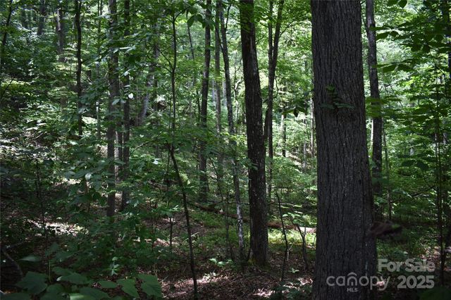 50 Firefly Springs Lane, Candler, NC 28715
