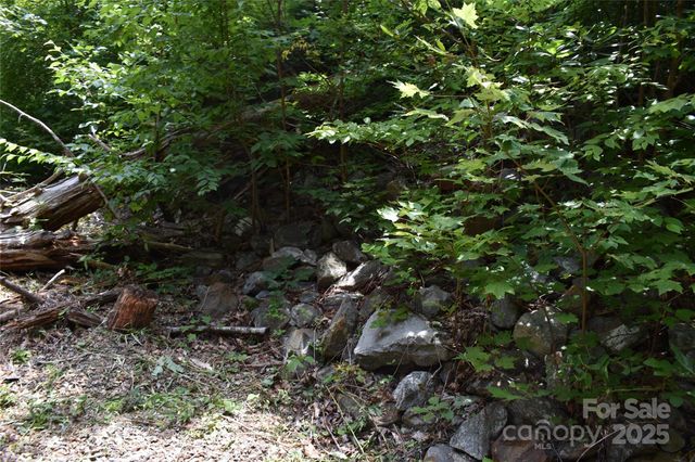 50 Firefly Springs Lane, Candler, NC 28715