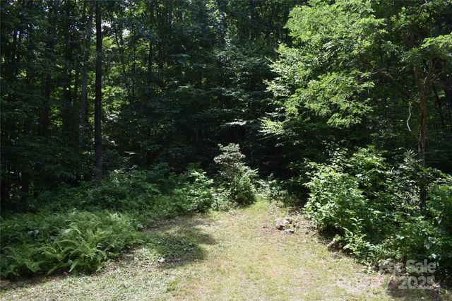 50 Firefly Springs Lane, Candler, NC 28715