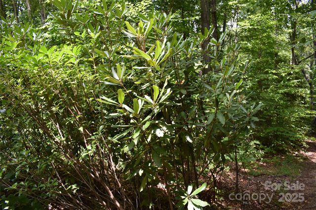 50 Firefly Springs Lane, Candler, NC 28715