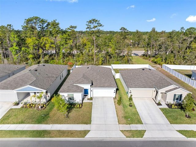 1312 PEACH CREEK DRIVE, Osteen, FL 32764