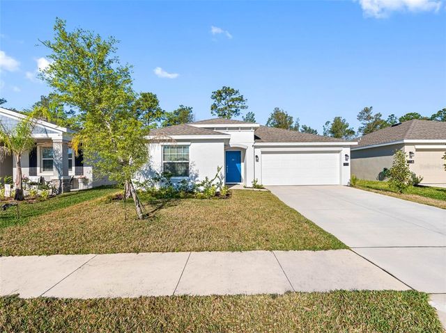1312 PEACH CREEK DRIVE, Osteen, FL 32764