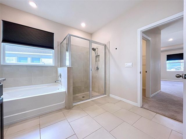 10609 LAXER CAY LOOP, San Antonio, FL 33576