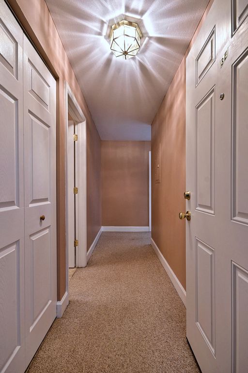 850 S Lorraine Road S 3E, Wheaton, IL 60189 — photo 3